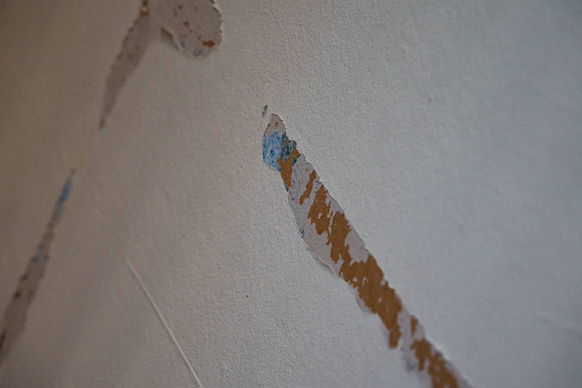 Basement Water Removal service in Des Plaines, IL